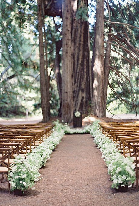 Wedding aisle in the woods lined with flower pots