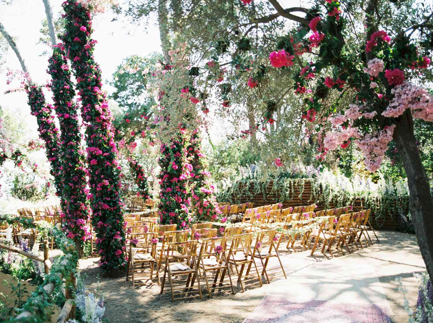 Ceremony site with tall rose bushes lining the aisle