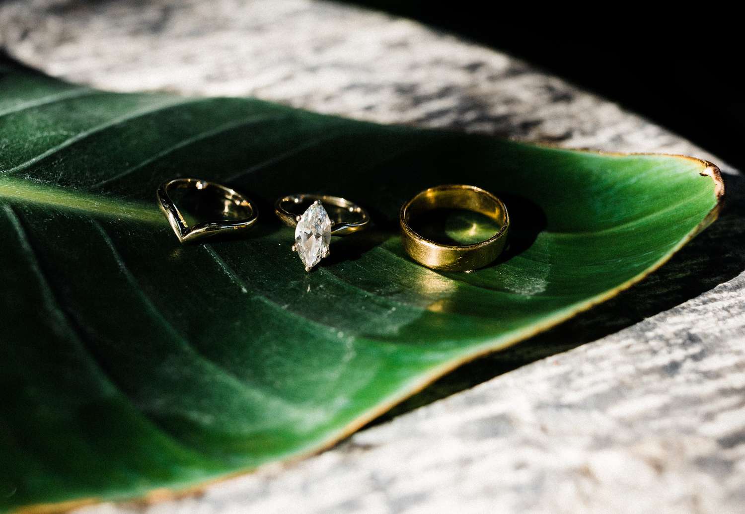 Wedding band, engagement ring, and wedding band resting on a leaf
