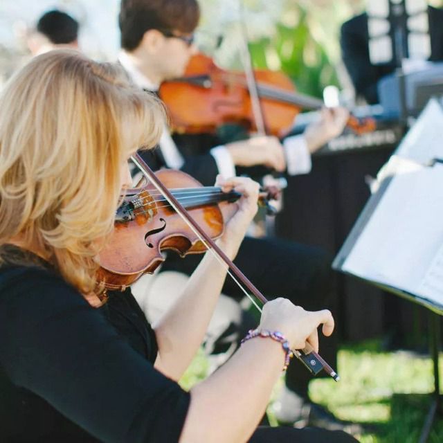 Woman playing violin at wedding reception